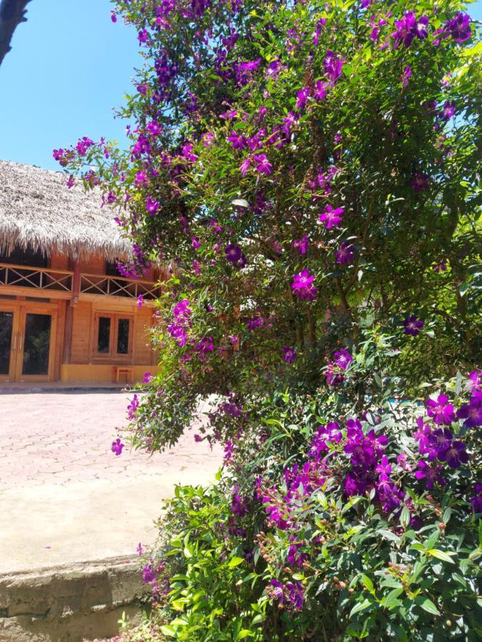 Flower Hmong Homestay Bac Ha  Zewnętrze zdjęcie
