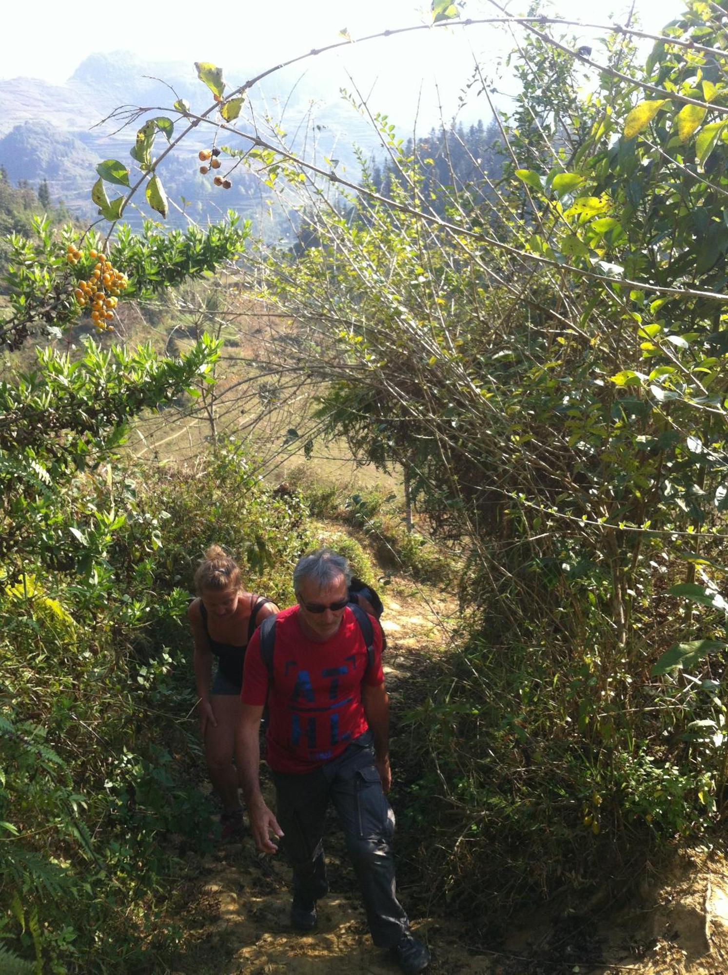 Flower Hmong Homestay Bac Ha  Zewnętrze zdjęcie