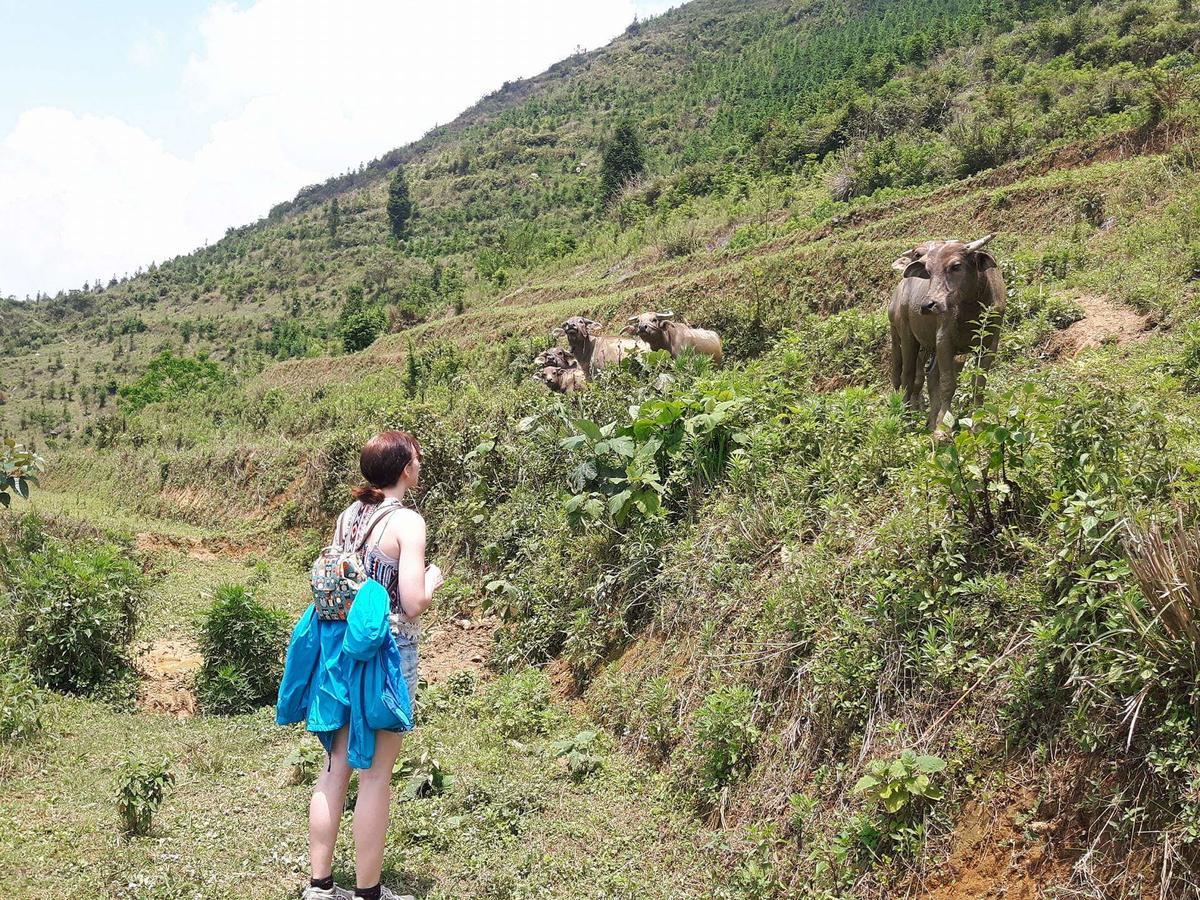 Flower Hmong Homestay Bac Ha  Zewnętrze zdjęcie