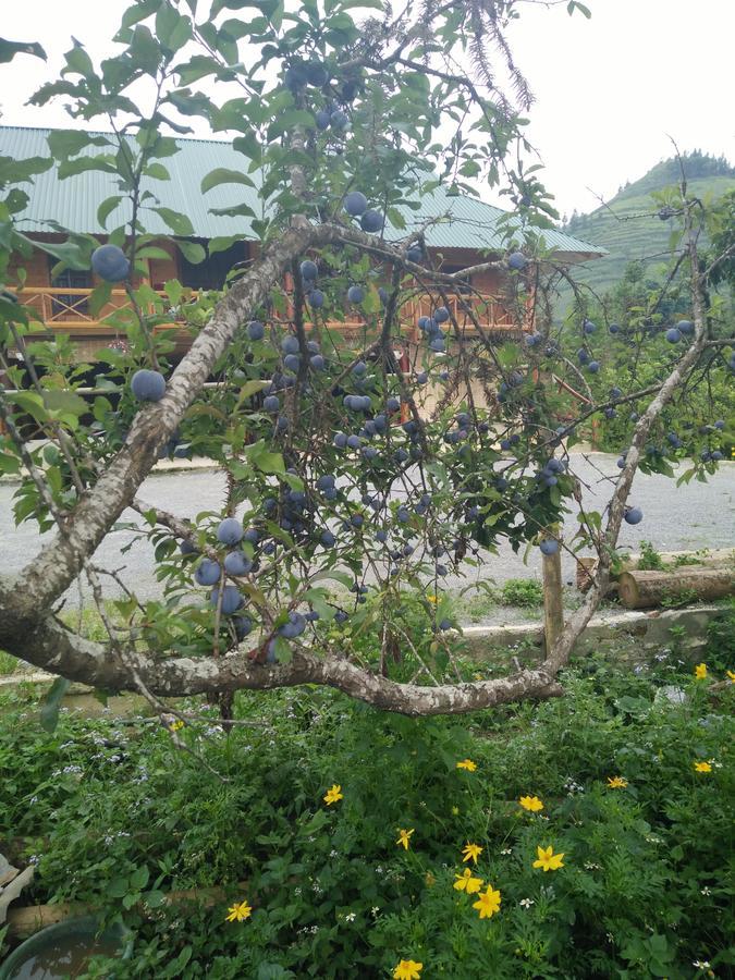 Flower Hmong Homestay Bac Ha  Zewnętrze zdjęcie