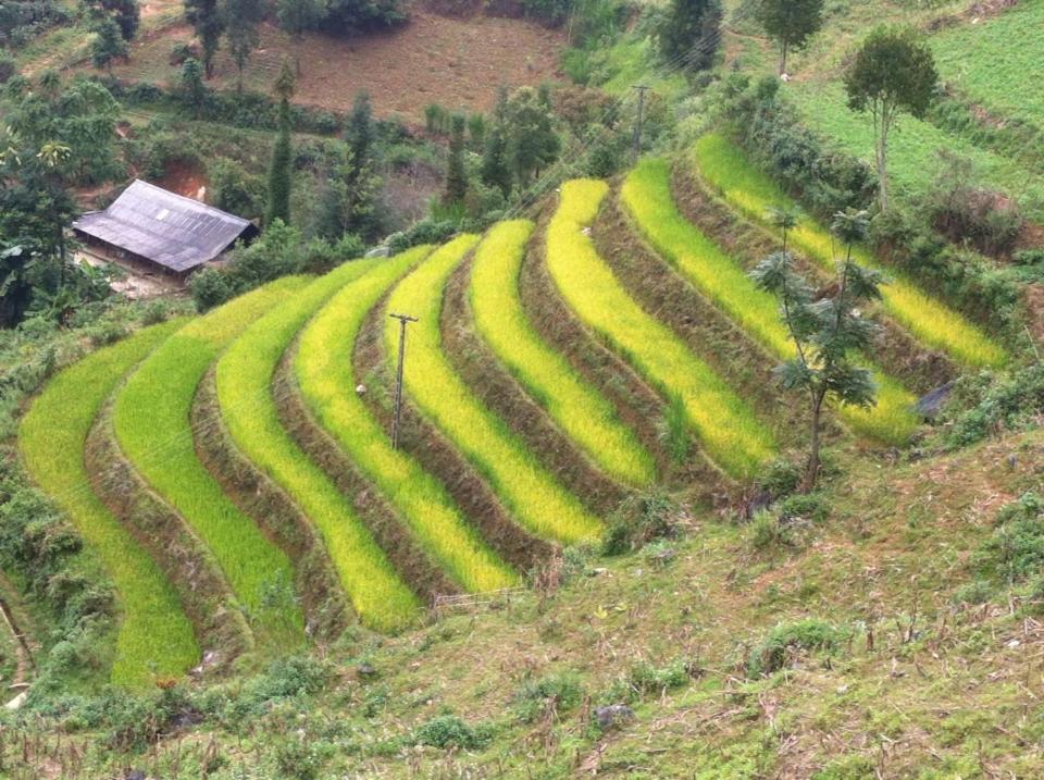 Flower Hmong Homestay Bac Ha  Zewnętrze zdjęcie