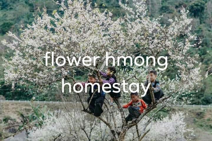 Flower Hmong Homestay Bac Ha  Zewnętrze zdjęcie